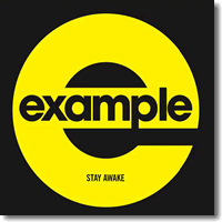 Cover: Example - Stay Awake