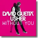 David Guetta feat. Usher - Without You