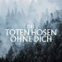 Cover: Die Toten Hosen - Ohne dich (Ohne Strom)