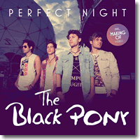 Cover: The Black Pony - Perfect Night