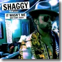 Cover:  Shaggy feat. Rayvon - It Wasn't Me (Hot Shot 2020)
