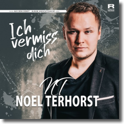 Cover: Noel Terhorst - Ich vermiss dich