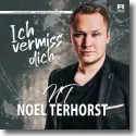 Noel Terhorst - Ich vermiss dich