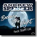 Cover:  Andrew Spencer feat. Steffi List - Because The Night