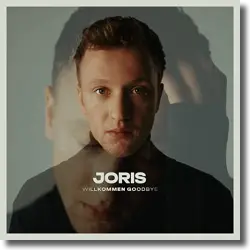 Cover: Joris - Steine