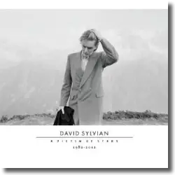 Cover: David Sylvian - A Victim Of Stars 1982 - 2012