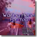DJ Nicolas, DJ Combo & Grafezzy - Waiting Here For You