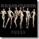 Cover:  Rammstein - Pussy