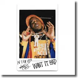 Cover: NIGO feat. Kid Cudi - Want It Bad