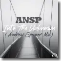ANSP - Into The Unknown (Andrew Spencer Mix)