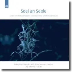 Cover: Seel an Seele - Various Artists