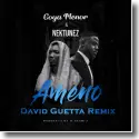 Goya Menor & Nektunez - Ameno Amapiano (You Wanna Bamba) (David Guetta Remix)