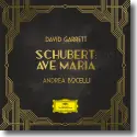 Cover:  David Garrett feat. Andrea Bocelli - Ave Maria