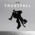 Cover: P!nk - Trustfall