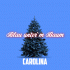 Cover: Carolina - Blau unter'm Baum