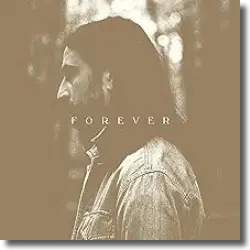 Cover: Noah Kahan - Stick Season (Forever)