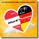 Cover: DJ Ostkurve & Meli Stein, PaulMusic - Pfiat di & Tschss