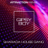 Cover: Sharada House Gang & Attraction - Gipsy Boy (Attraction Remix)