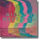 Cover: Imagine Dragons - Nice To Meet You