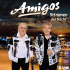 Cover: Amigos - Stimmen der Nacht