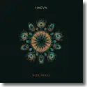 Cover:  Haevn - Wide Awake