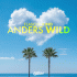 Cover: Flaschnkind - Anders Wild