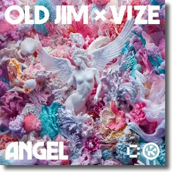 Cover: Old Jim & VIZE - Angel