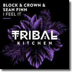 Cover: Block & Crown, Sean Finn - I Feel It