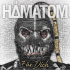 Cover: Hmatom - Fr dich