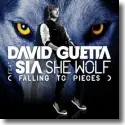 David Guetta feat. Sia - She Wolf  (Falling To Pieces)
