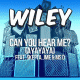 Cover: Wiley feat. Skepta, JME & Ms D - Can You Hear Me? (Ayayaya)