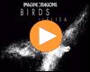 Cover: Imagine Dragons feat. Elisa - Birds