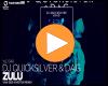 Cover: DJ Quicksilver & DAG - Zulu (van Der Karsten Remix)