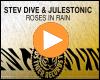 Cover: Stev Dive & JulesTonic - Roses In Rain