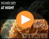 Video: At Night