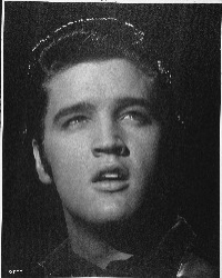 Elvis Presley: sein getragener Genitalschutz wird versteigert